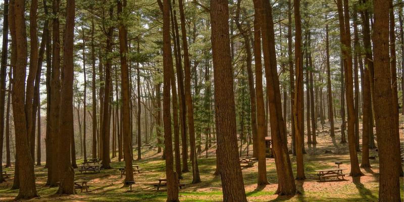 从山城到绿城：重庆EBHY工业互联网平台如何用数据驱动绿色智造革命