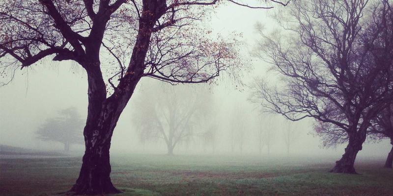 科技守护绿水青山：重庆环保科技如何破解库区藻类水华治理难题