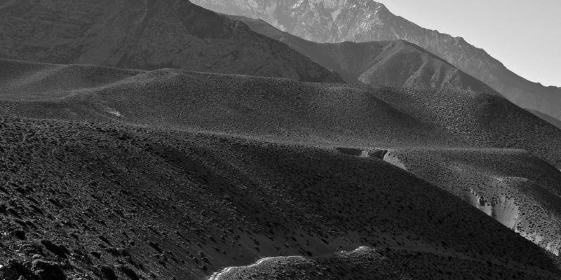 重庆实践:卫星遥感与地面监测融合技术如何成为森林碳汇的“智慧守护者”