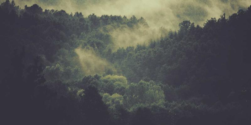 重庆环保科技新突破:库区浮式光伏与水质净化协同技术,如何实现清洁能源与废弃物处理的双赢?